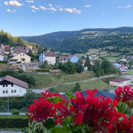 Vosges Chalet La Bresse